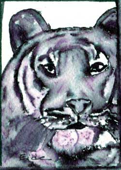 "Tiger Tiger" by Eunice Eide, Madison WI - Watercolor & Ink (NFS)